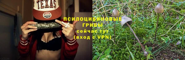 хмурый Балахна