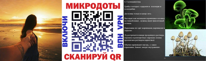 площадка наркотические препараты  наркота  Кушва  Псилоцибиновые грибы ЛСД 